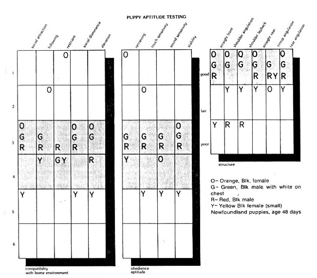 puppy-aptitude-testing