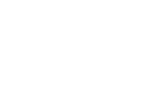 Lost Dog Ad
