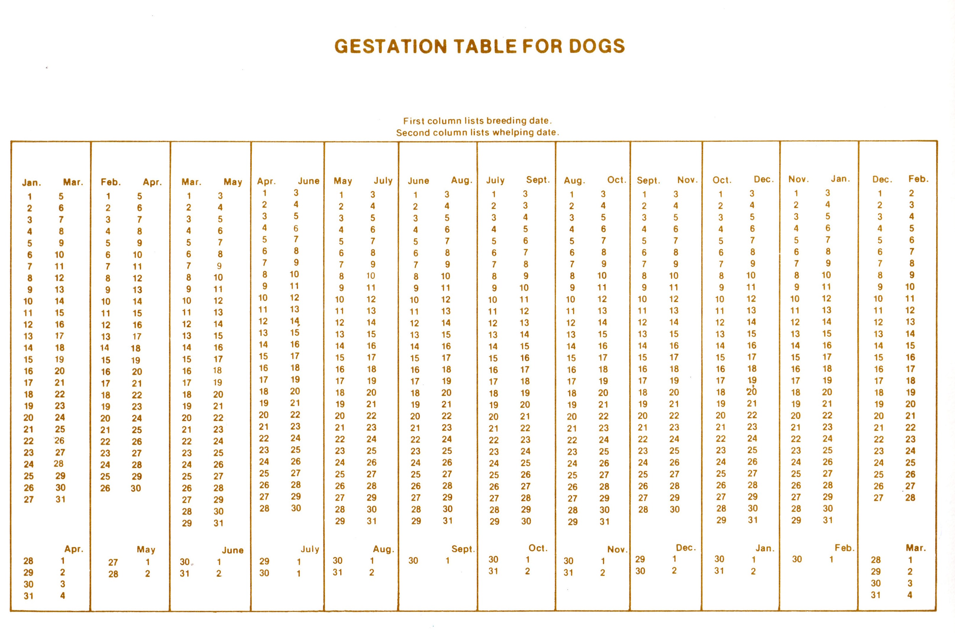 Dog Gestation Chart