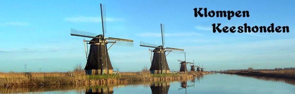 row of windmills found in Kinderdijk, Holland