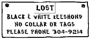 lost dog sign