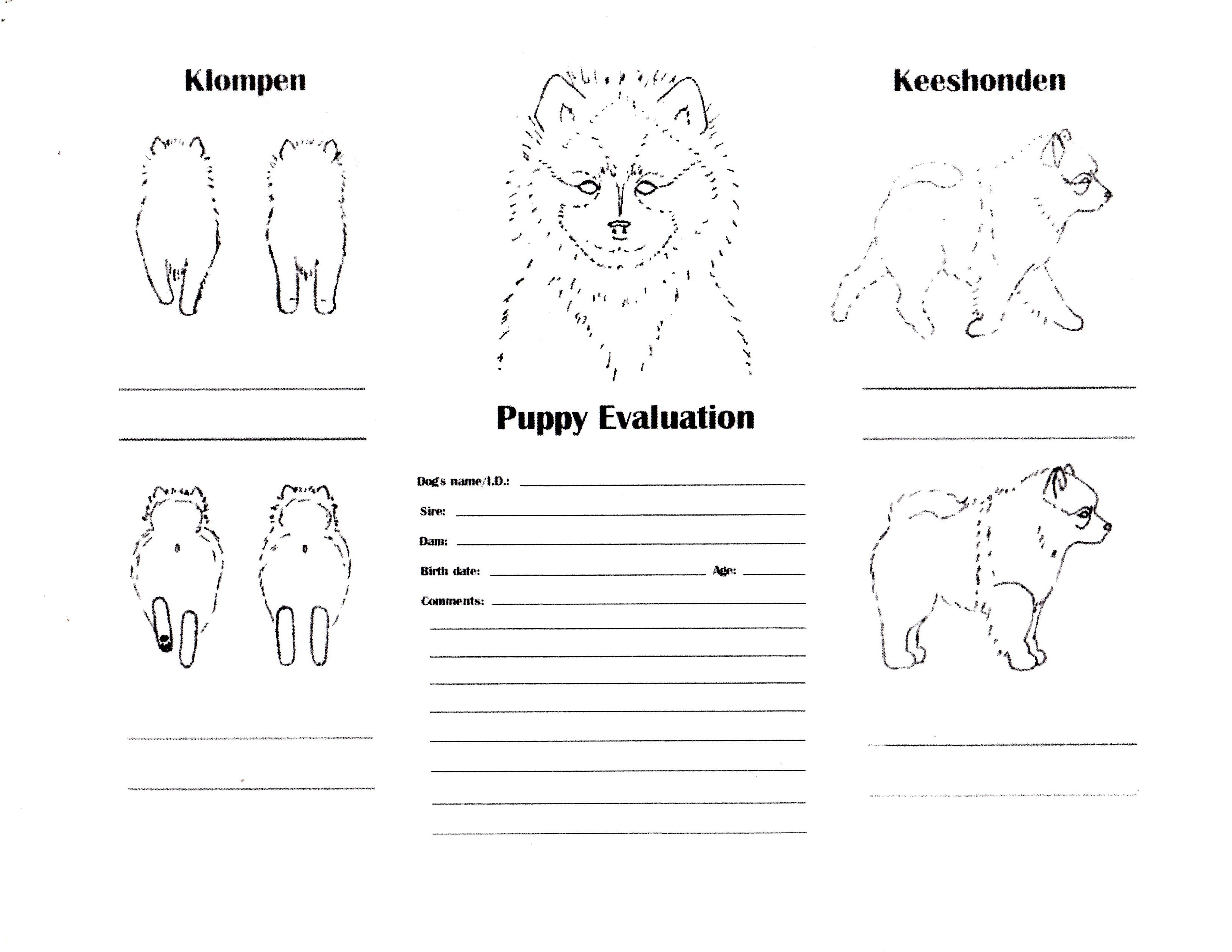 Puppy Evaluation page 1