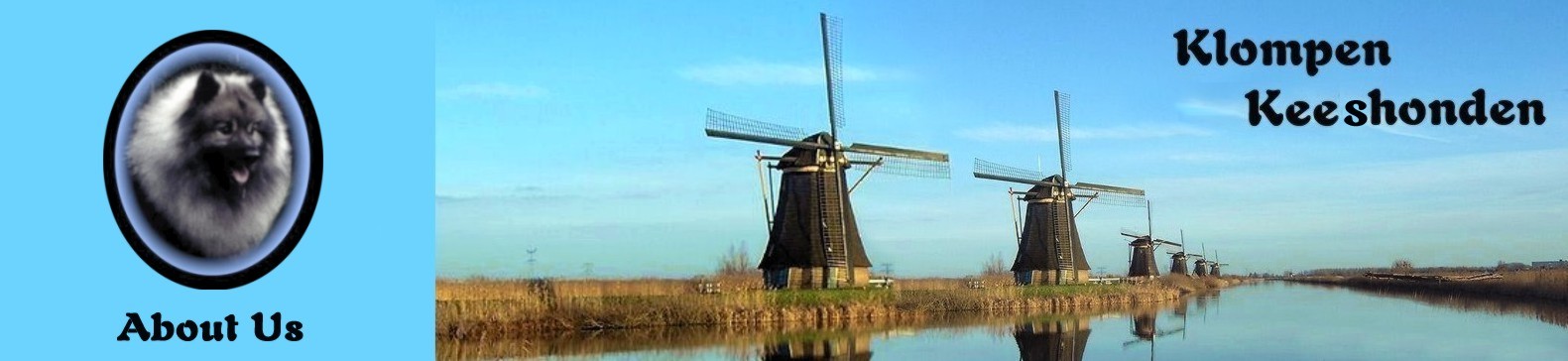 row of windmills found in Kinderdijk, Holland