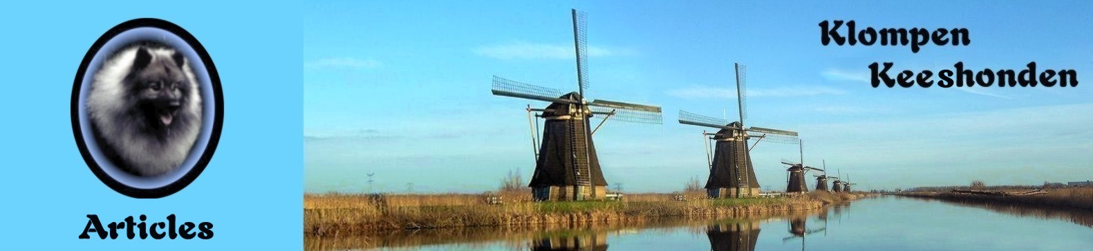 row of windmills found in Kinderdijk, Holland