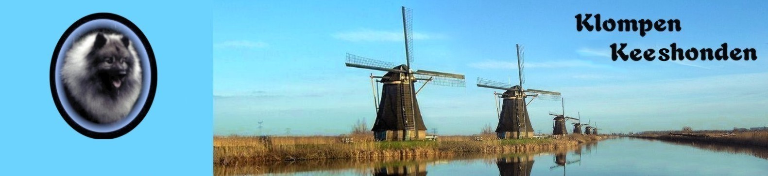 row of windmills found in Kinderdijk, Holland