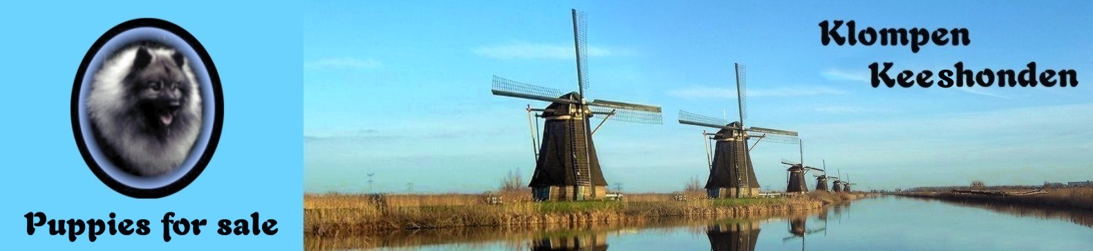 row of windmills found in Kinderdijk, Holland